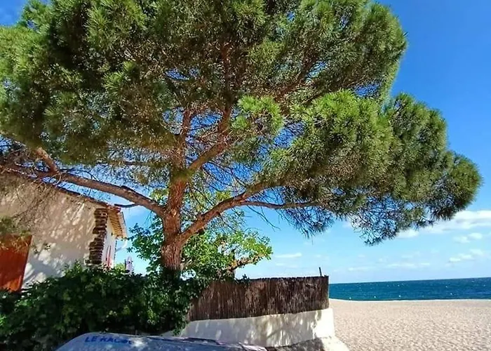 3 Pieces En Bord De Mer, Terrasse, Animaux Admis, Parking - Fr-1-776-147 *