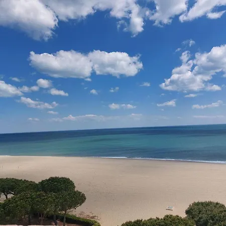 3 Pieces En Bord De Mer, Terrasse, Animaux Admis, Parking - Fr-1-776-147 Apartment