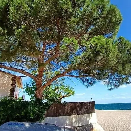 3 Pieces En Bord De Mer, Terrasse, Animaux Admis, Parking - Fr-1-776-147 *