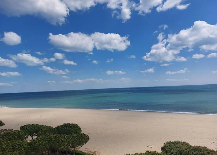 3 Pieces En Bord De Mer, Terrasse, Animaux Admis, Parking - Fr-1-776-147 Apartment